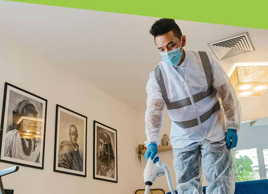 Employee working on a room with pest control product